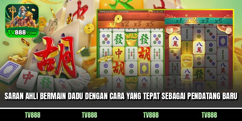 Saran Ahli Bermain Dadu Dengan Cara yang Tepat Sebagai Pendatang Baru